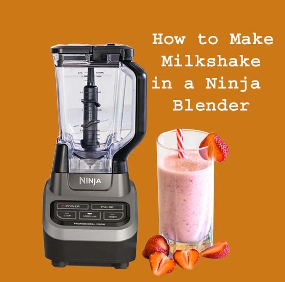 Blender Tips: Make Milkshake in a Ninja Blender