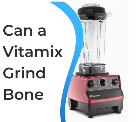 Can a Vitamix Grind Bone