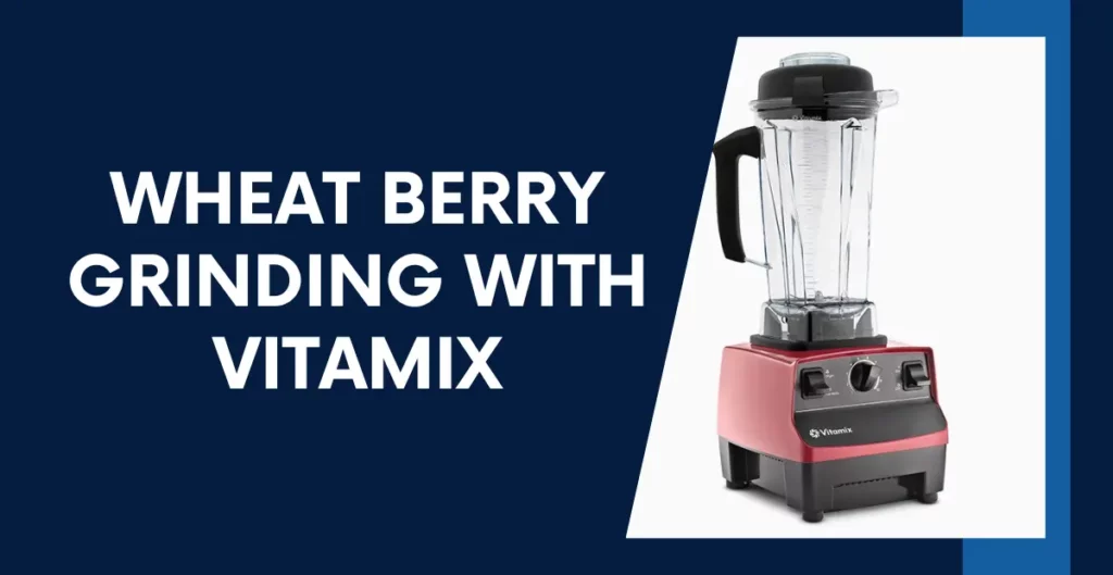 Wheat Berry Grinding with Vitamix Easy and Efficient