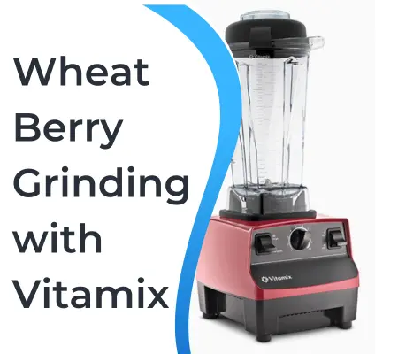 Wheat Berry Grinding with Vitamix