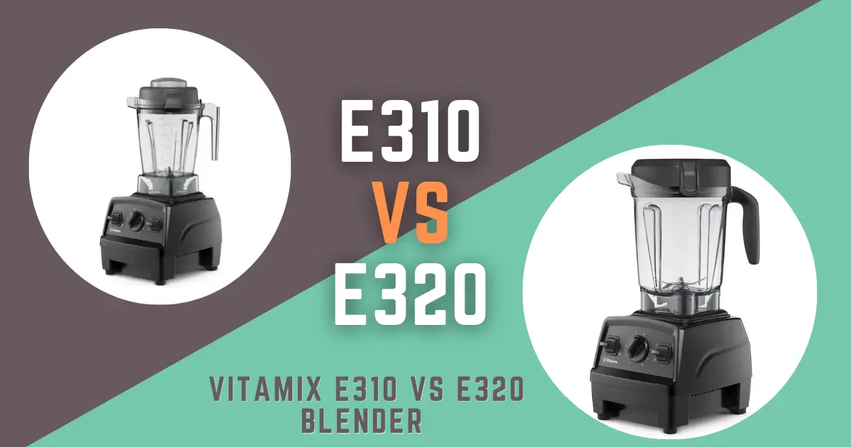 Comparison between vitamix e310 vs e320
